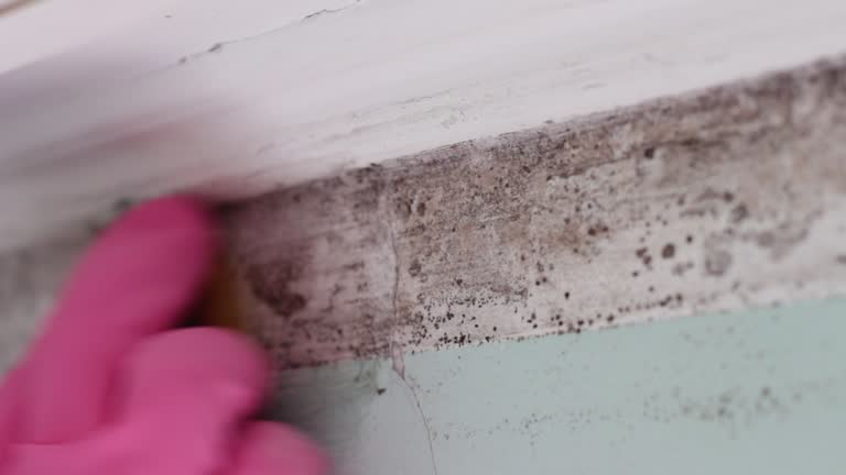 Best Residential Mold Inspection & Testing  in Wenona, IL